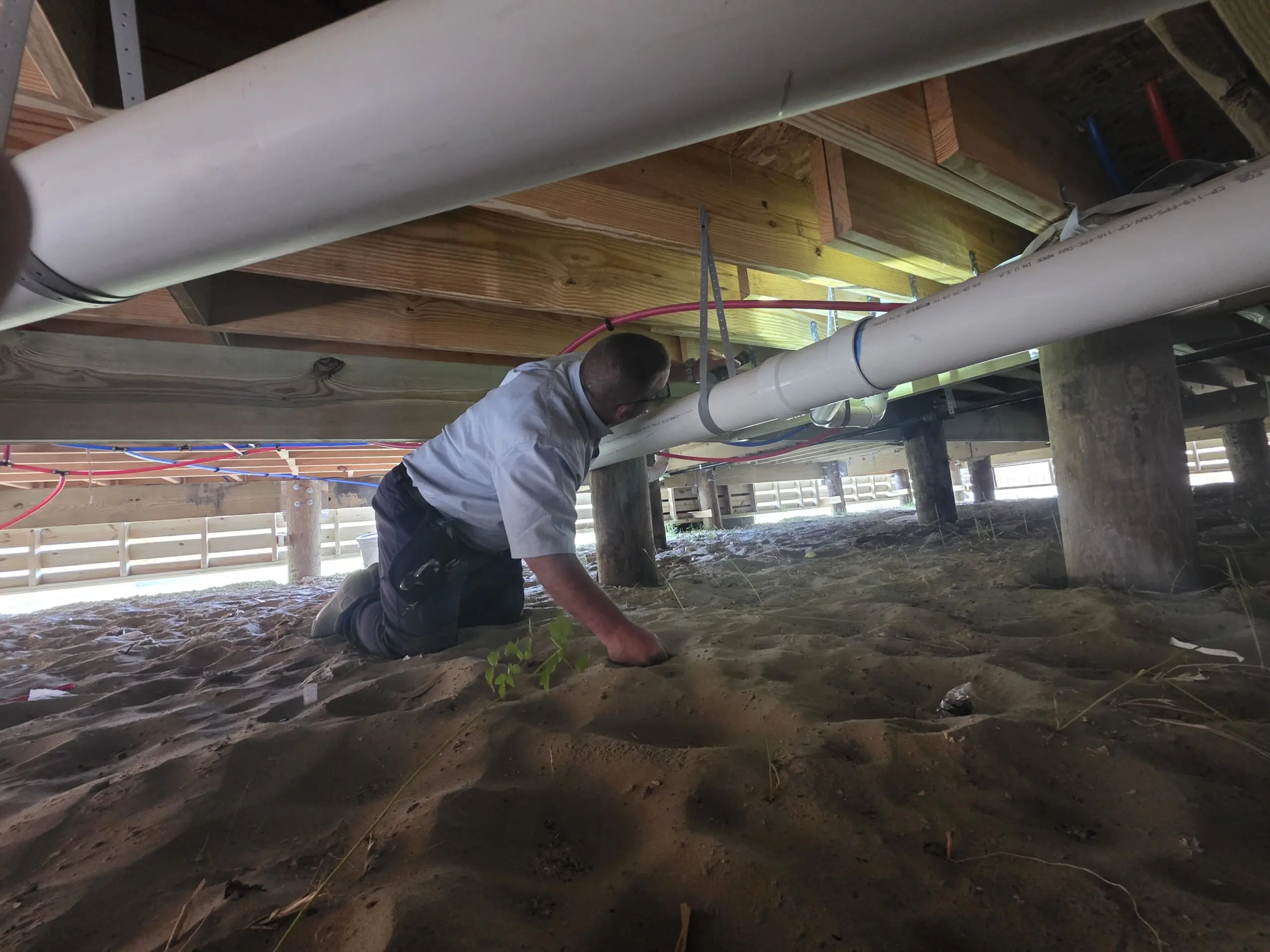 Mike under house
