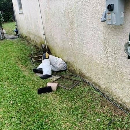 Mike crawling under house